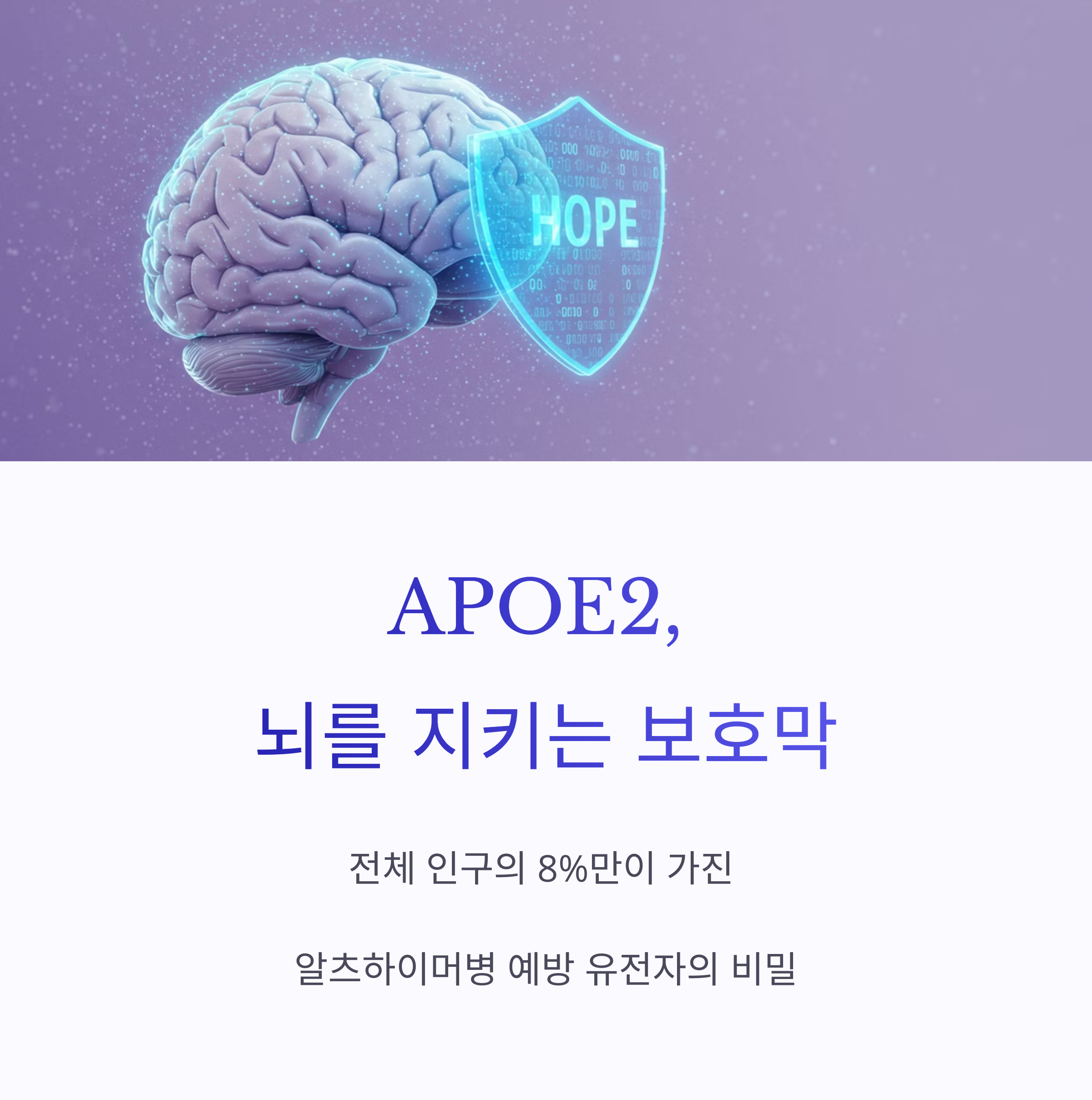 APOE2의-뇌-보호막