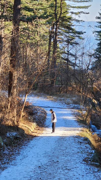 눈 쌓인 가평잣향기푸른숲 숲길