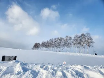 7월 8월 북해도 여름 날씨 홋카이도 삿포로 여행 최적기 성수기 옷차림 완벽 가이드_14