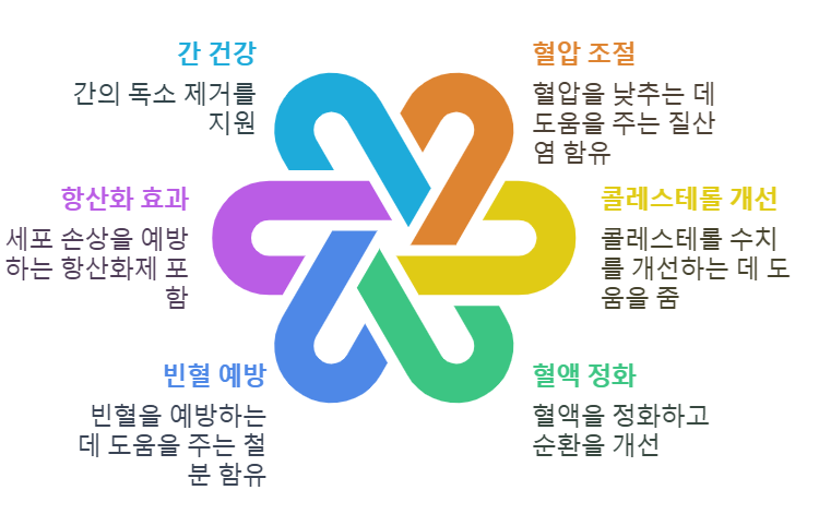 비트즙 효능