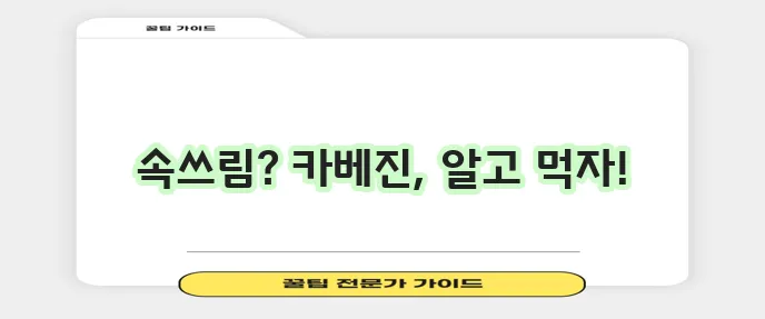 카베진 복용법과 주의사항 꼭 확인하세요!