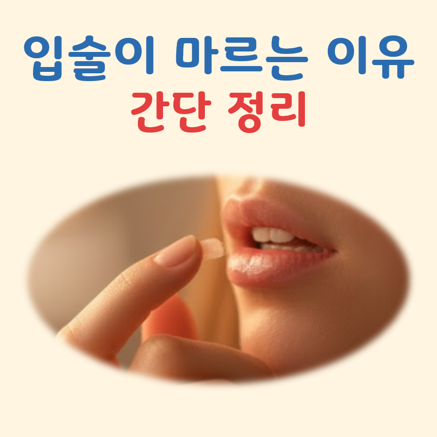 입술이 마르는 이유 대표 이미지