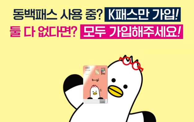 K패스/지역별/혜택