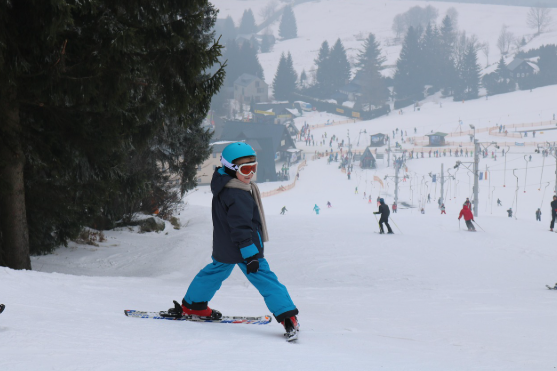 서울 경기 겨울방학 가족 나들이 ❘ 아이들과 가볼 만한 곳 BEST✨