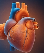 마그네슘이 풍부한 음식