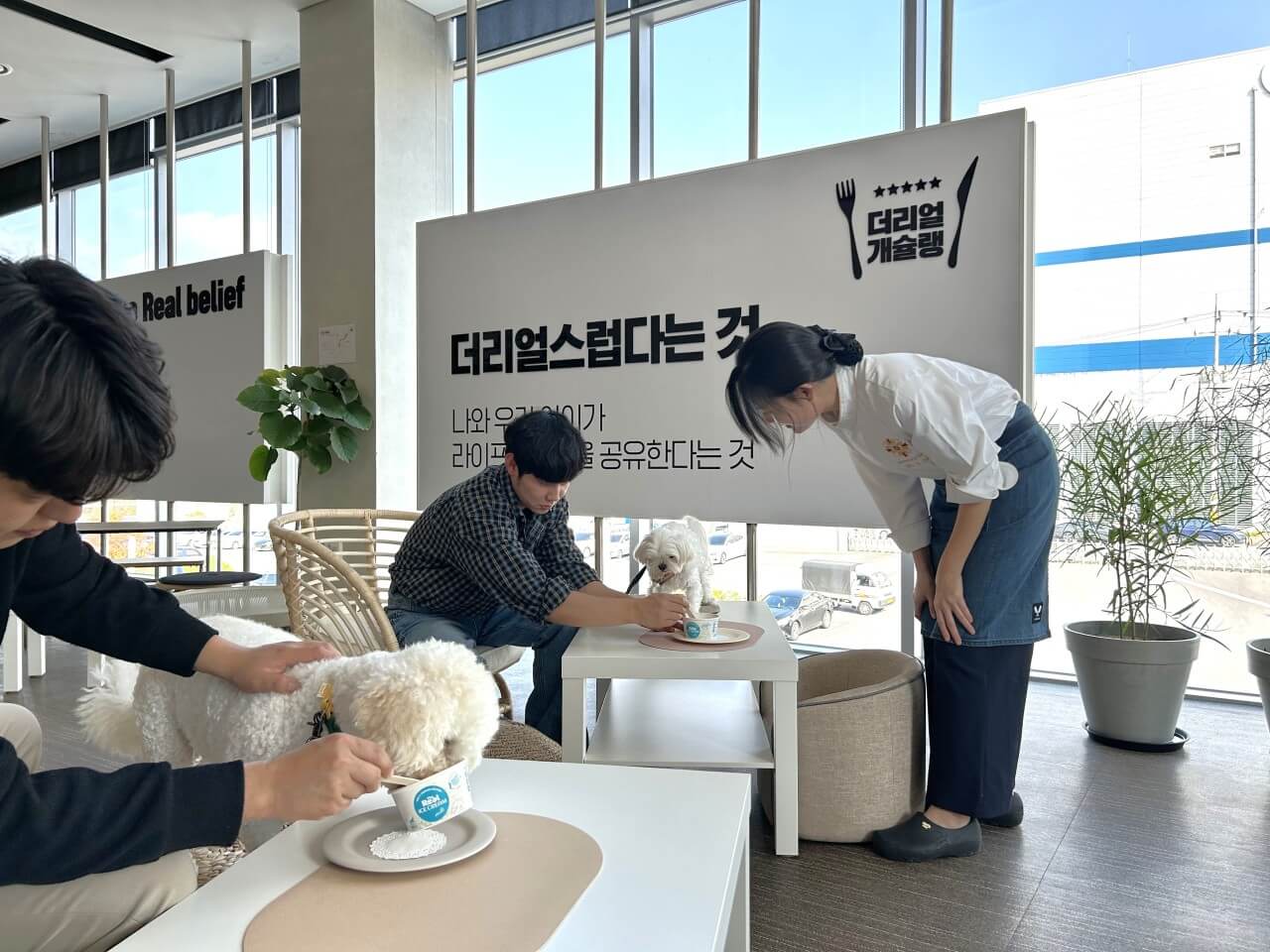 오늘N 오늘 대(大)공개 충남 공주 반려동물 사료 공장 하림펫푸드 해피댄스스튜디오(HDS) 투어 예약방법 오늘N 2495회