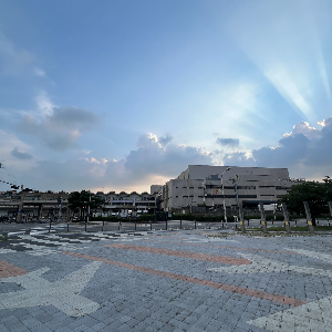 꽃이 피는 계절, 커피 한 잔과 하늘을 바라보는 이유