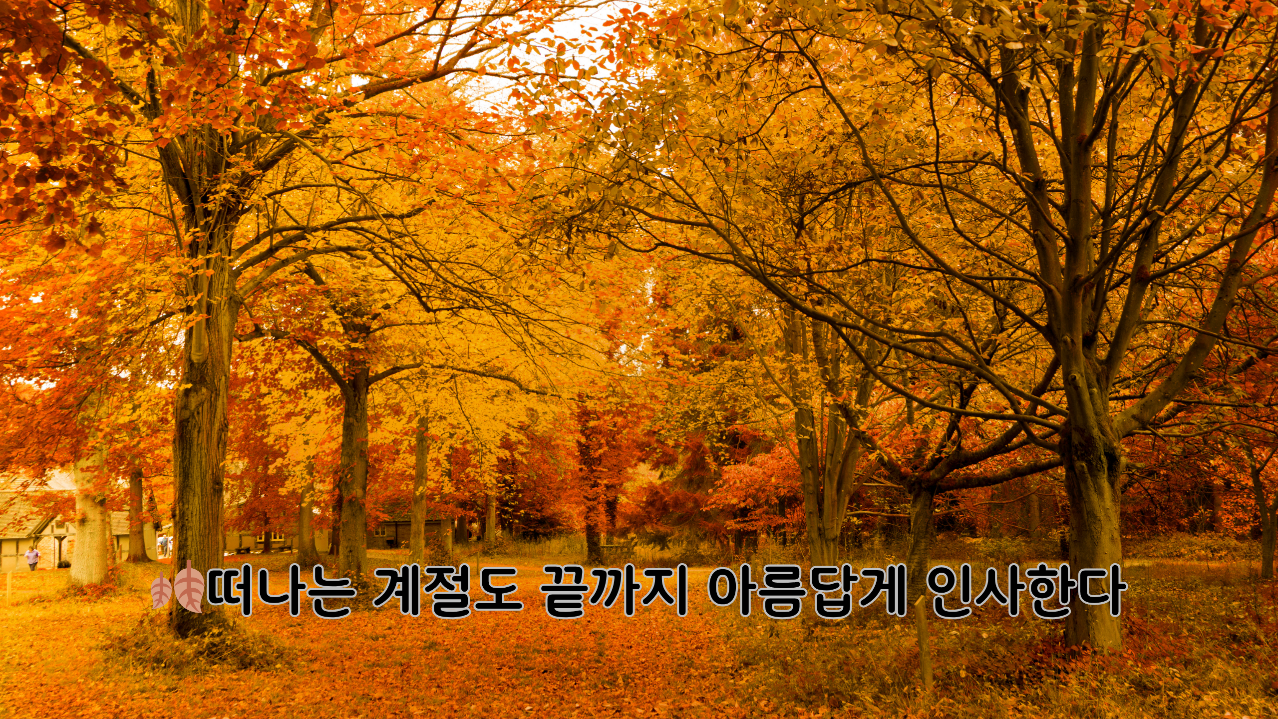 겨울을 기다리는 늦가을