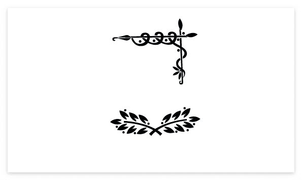 Pattern, Design : Ancient, Elegance, Flower, Leaf