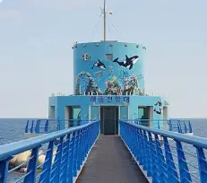 울릉도 독도 가족여행 준비 최적의 시기와 피해야 할 시기