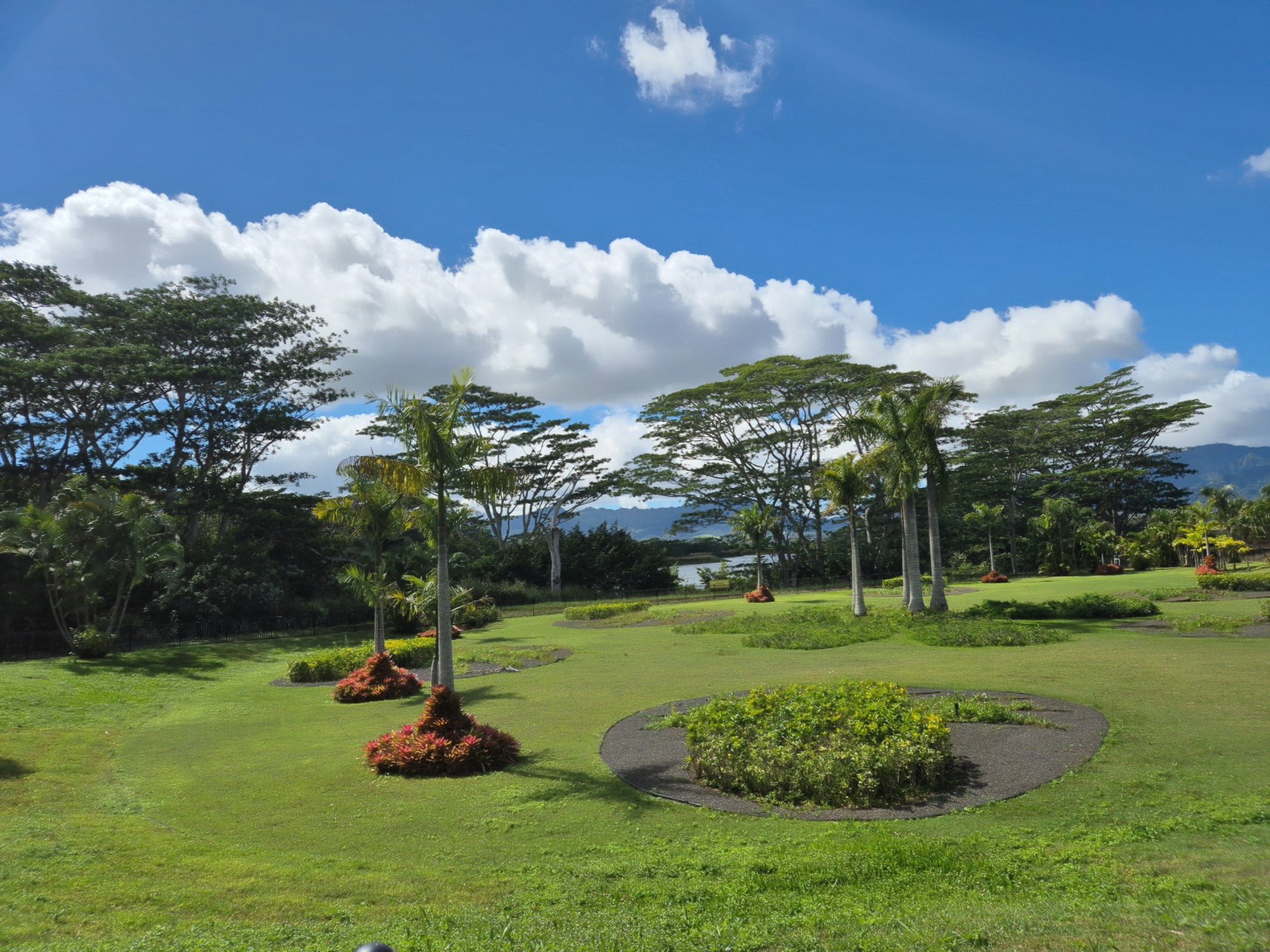 2월의 하와이는 생각보다 선선했다