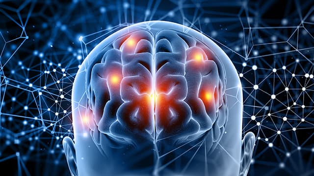 뇌 영양제 포스파티딜세린의 효능과 부작용