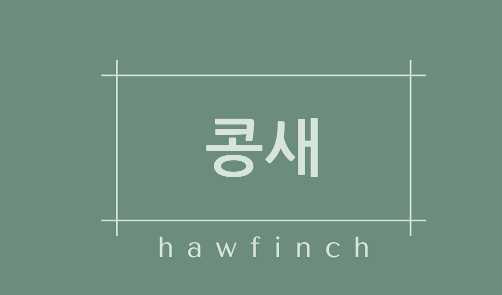 콩새(hawfinch)