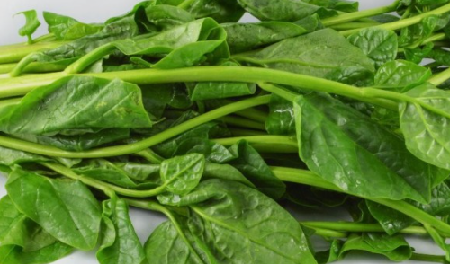 시금치