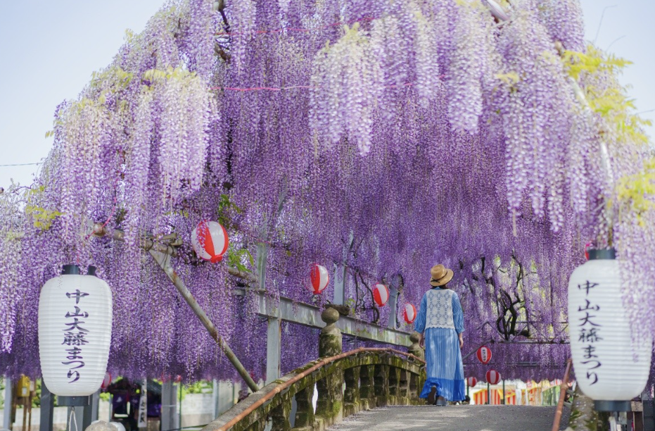 후쿠오카 여행지 이미지