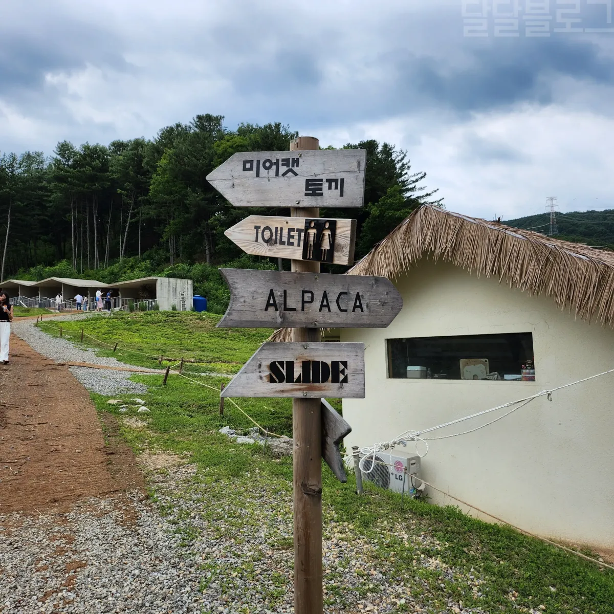 가평-양떼목장-미어캣-토끼