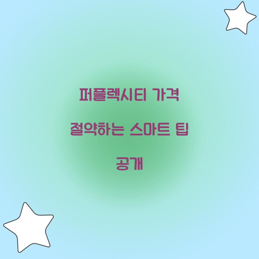 퍼플렉시티 가격