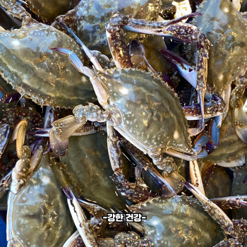 꽃게 찌는 방법