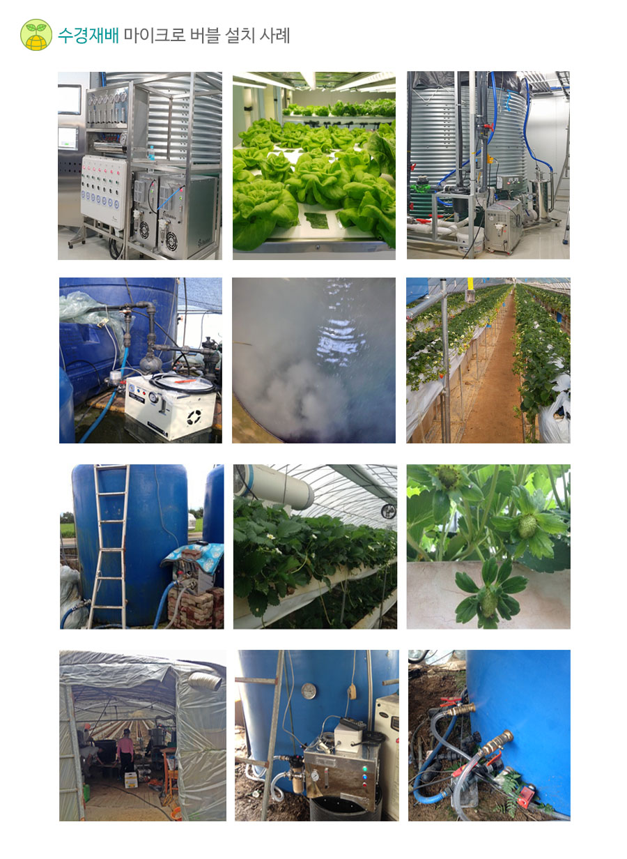 수경재배 마이크로버블 설치사례