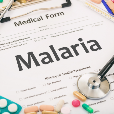 말라리아 증상과 대처 및 치료 방법