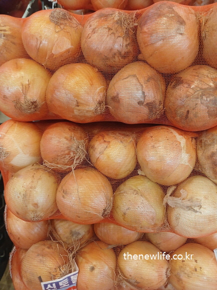생양파 효능을 위해 농가 포대에 담긴 양파를 보관 중인 모습, 껍질이 있는 생양파
