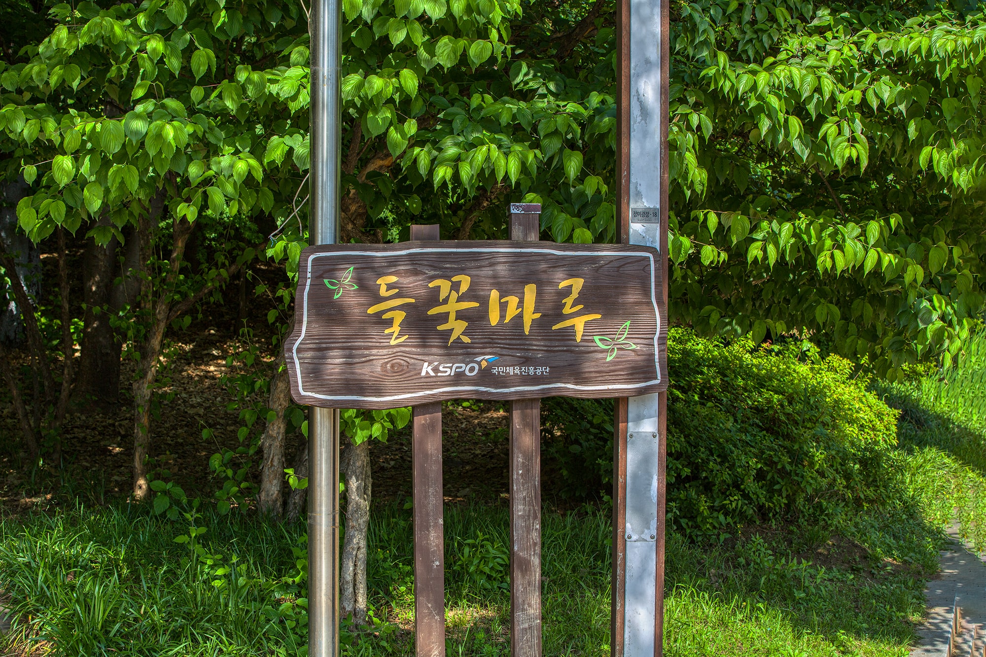 들꽃마루