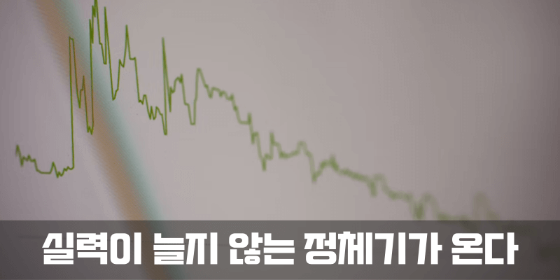 실력이 늘지 않는 정체기가 온다는 사실