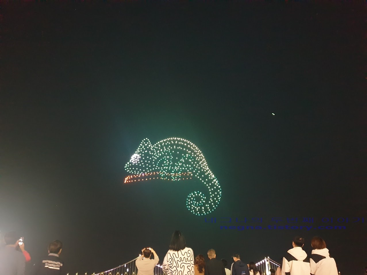 광안리 드론쇼. 정글. 카멜레온.