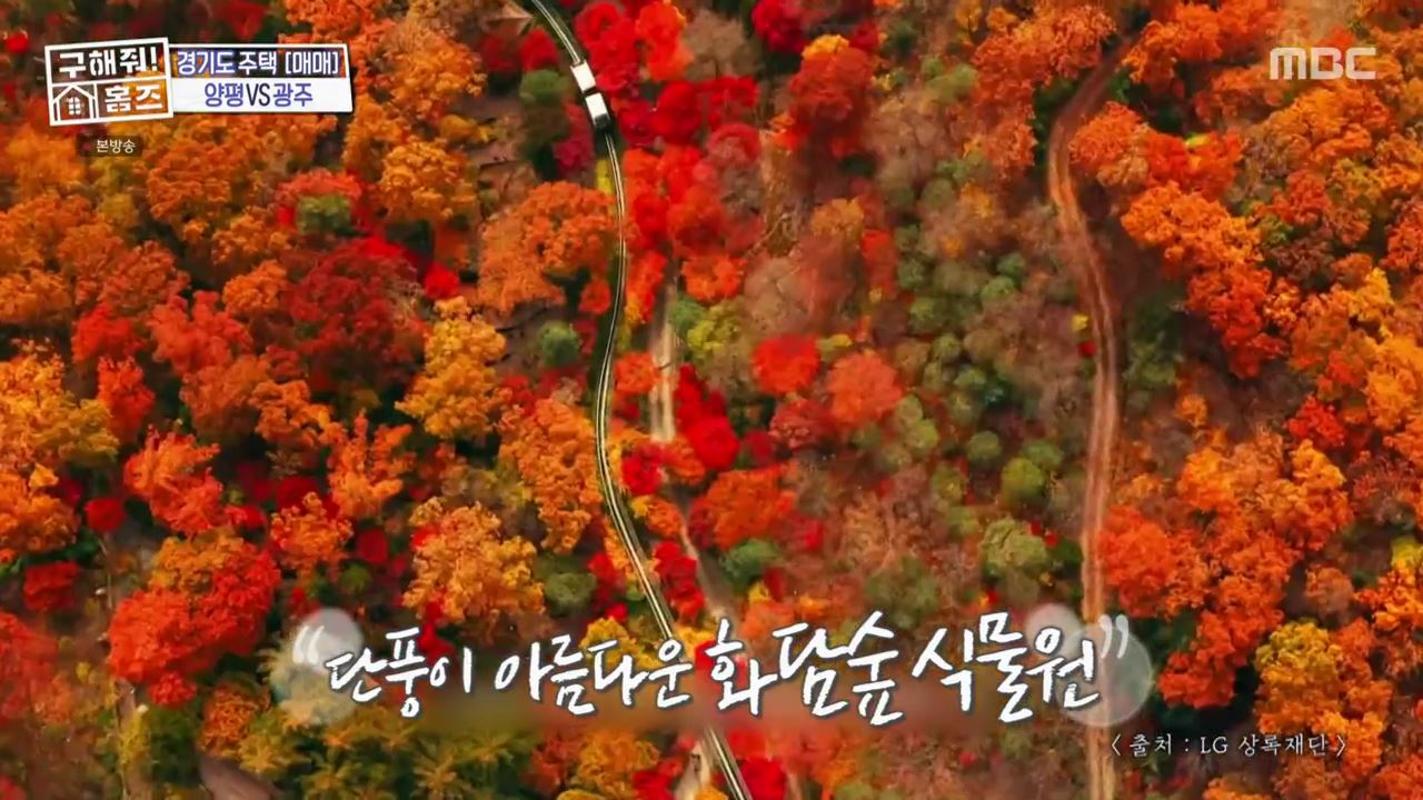 구해줘홈즈 광주시 도척면 궁평리 뜻밖의 주택 하우스 매물 가격 및 구조 인테리어 리모델링 소개