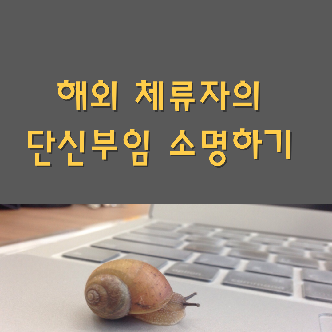해외체류자의 단신부임 소명하기