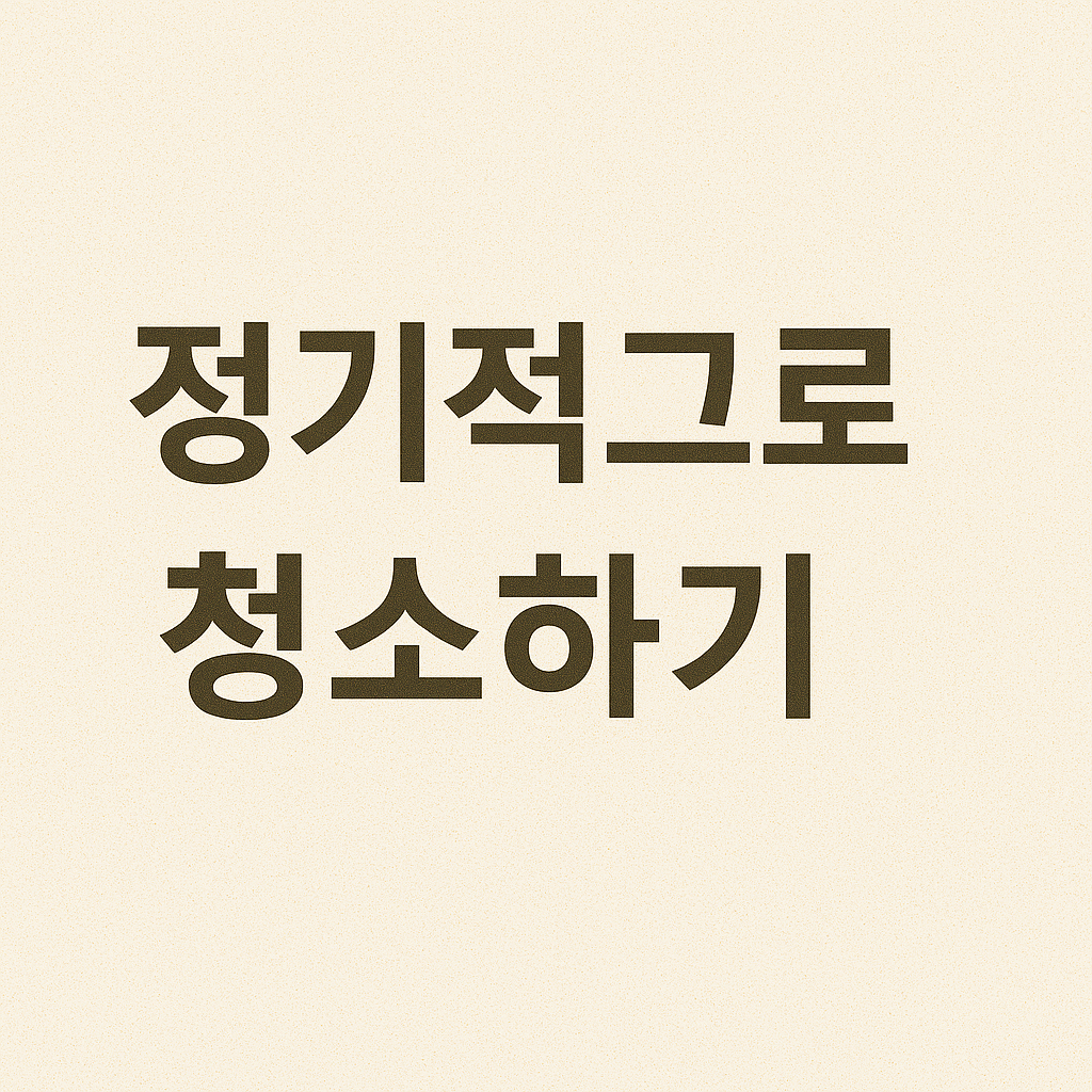 자동차 가죽 시트 관리 요령 완전정복! 오래가는 실내 관리 비법