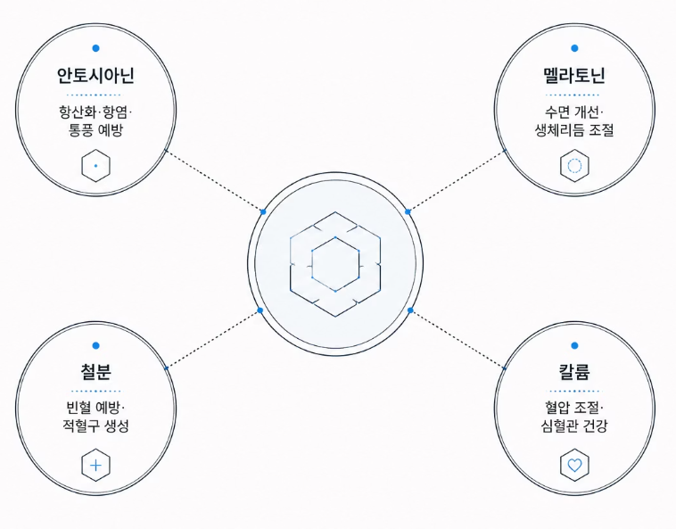 체리 효능