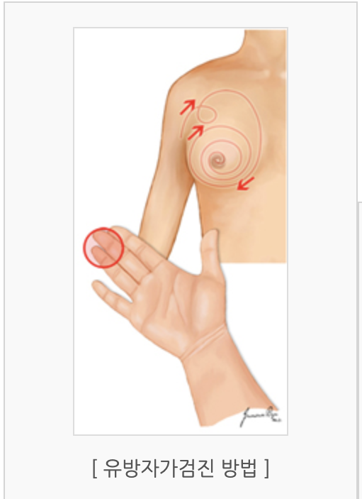 자가검진 방법