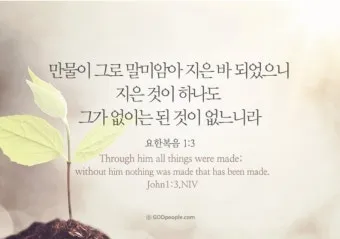 요한복음 11장 예수님 생명 부활 묵상_6