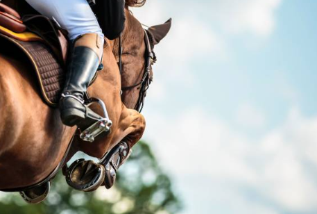 청송-가볼만한곳