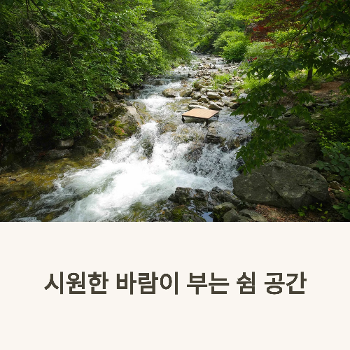 아침고요수목원 수국전시회