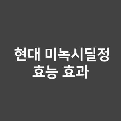 현대 미녹시딜정 효능 &#124; 부작용 &#124; 가격 &#124; 고혈압약 &#124; 탈모약