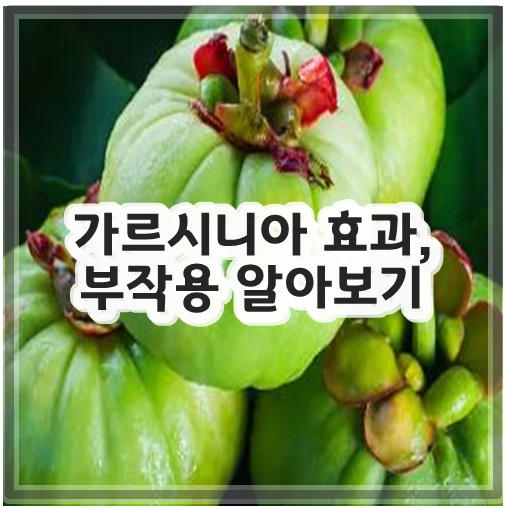가르시니아 효과, 부작용 알아보기