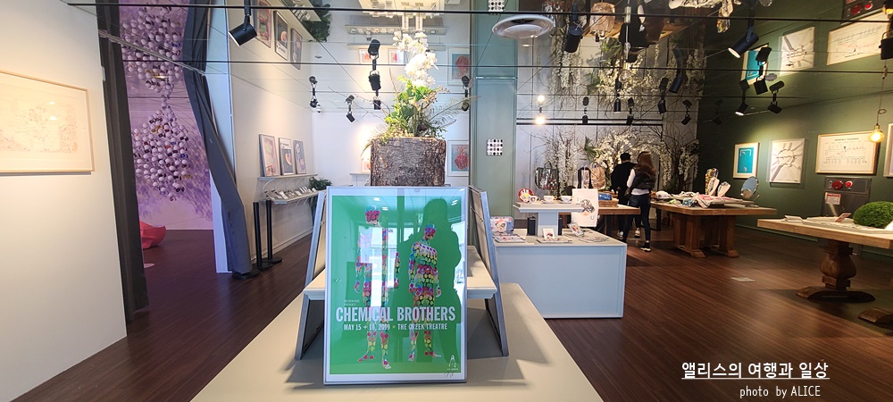 해운대 뮤지엄원 치유의기술, 부산 실내 가볼만한곳, 부산 전시 + 33% 할인예약방법