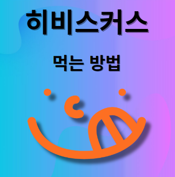 히비스커스 먹는 법