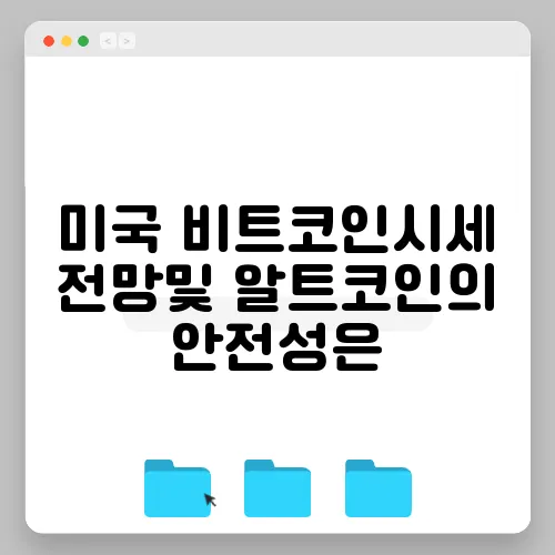 미국 비트코인시세 전망및 알트코인의 안전성은