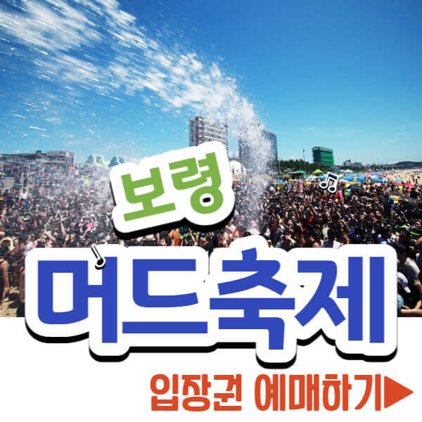 보령머드축제 입장권 예매