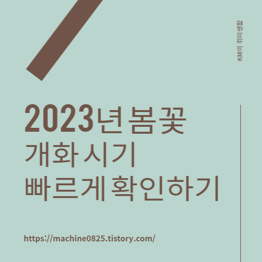 2023년 봄꽃 개화시기 진달래 개나리 벚꽃 축제
