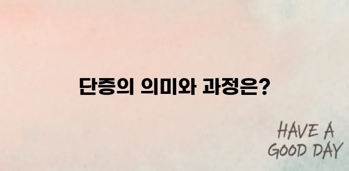 국기원 단증이 뭔가요? 발급부터 효력까지 완벽 해설!