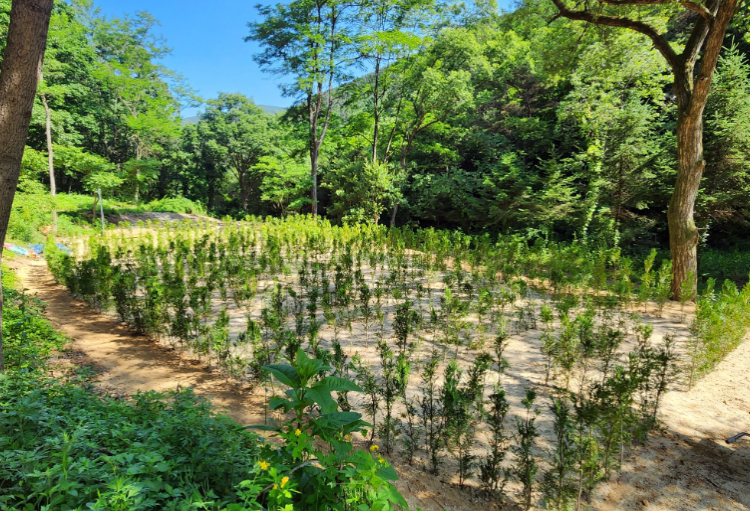 속리산 말티재 자연휴양림