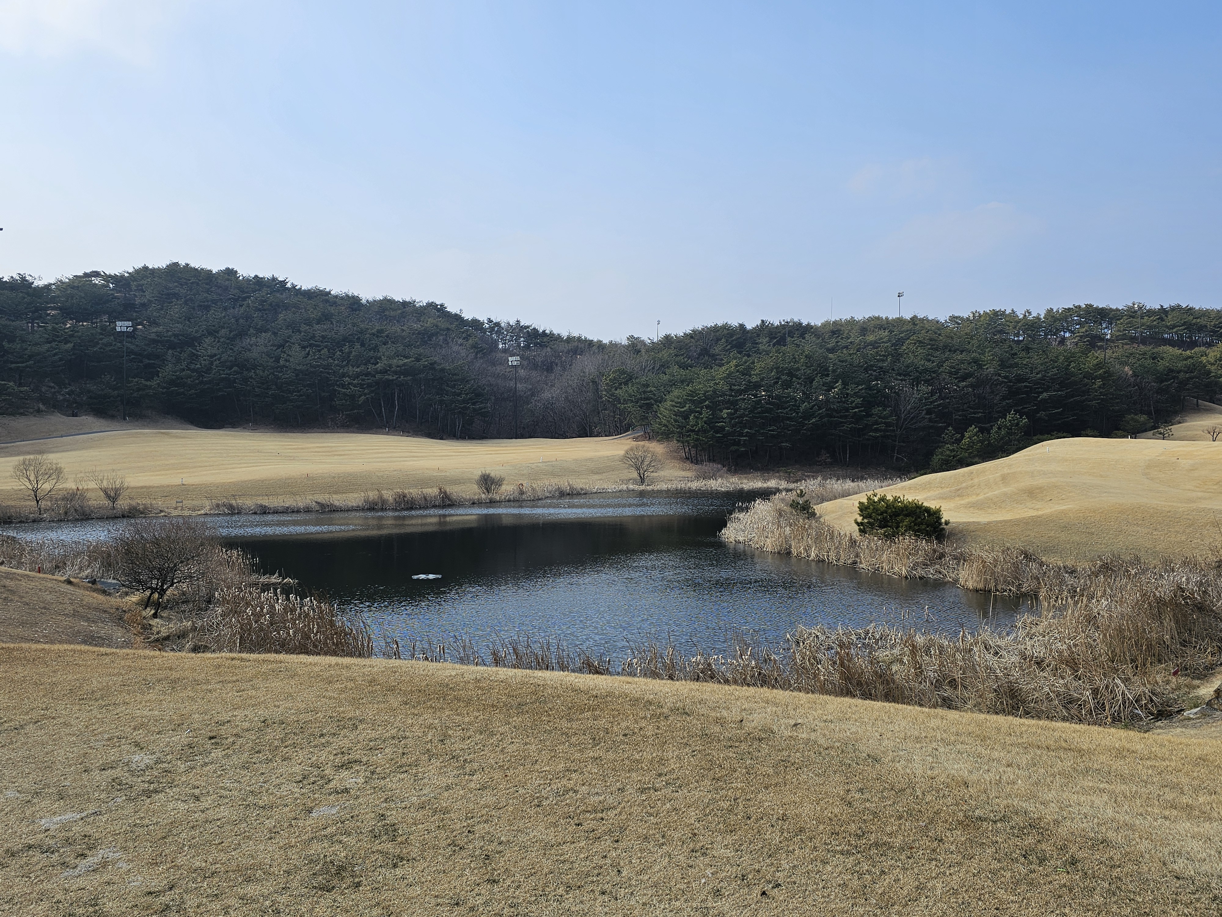 페어웨이와 해저드