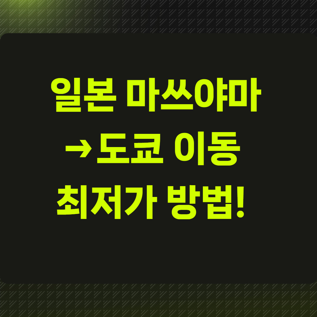 일본 마쓰야마→도쿄 이동 최저가 방법!