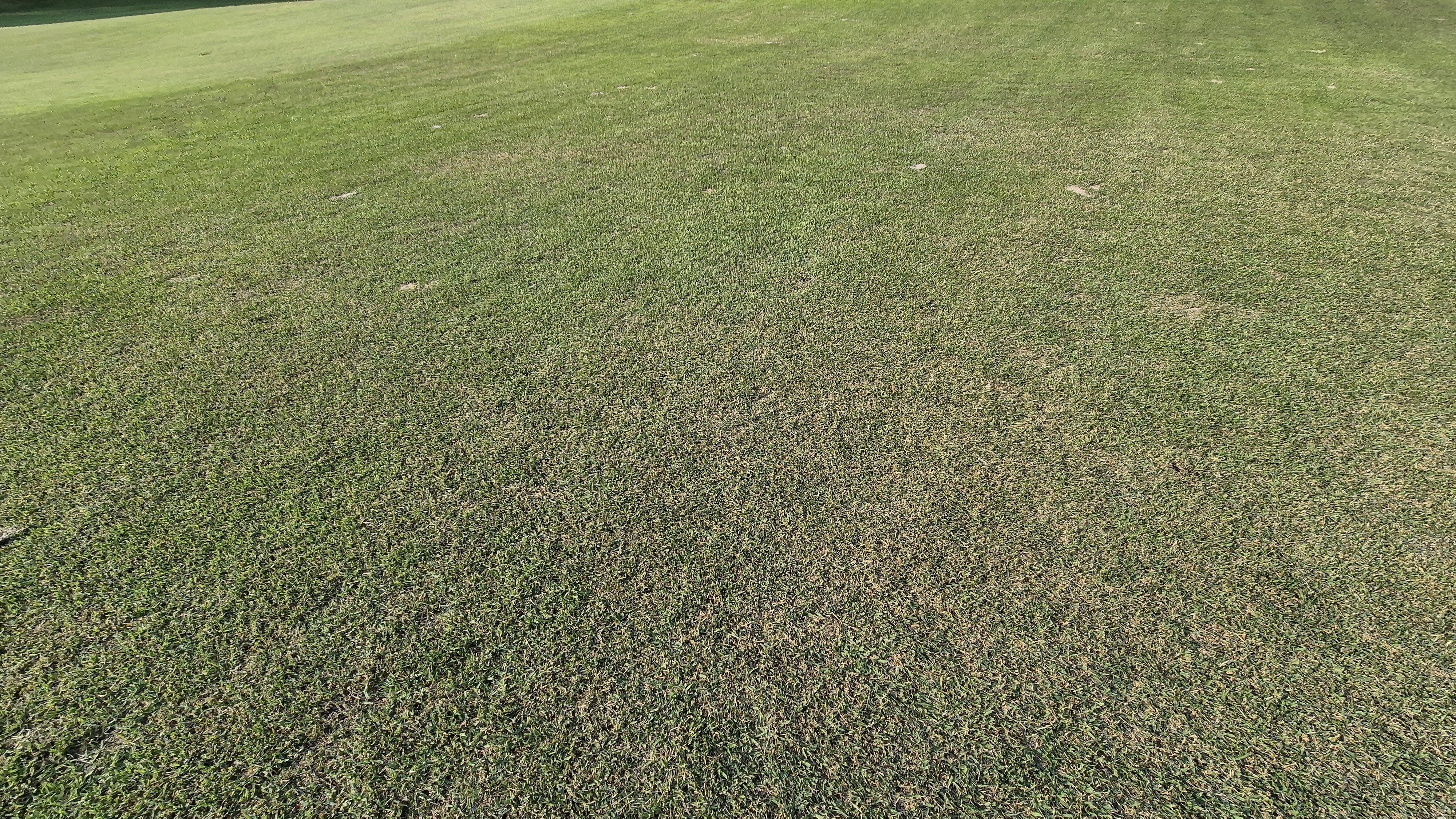 이포cc 라운드 후기