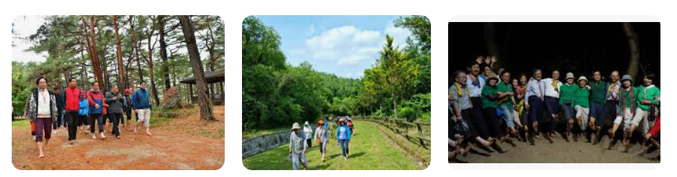 맨발걷기운동 실천 5