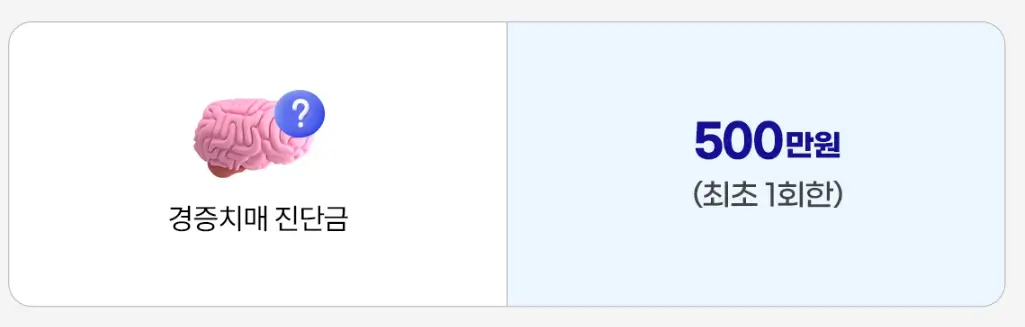 실버보험 부모님보험 시니어보험 노인보험
